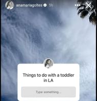 Anamaria Goltes' Instagram story